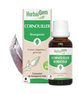 Cornouiller (Cornus sanguinea gemmae) bourgeon BIO, 30 ml